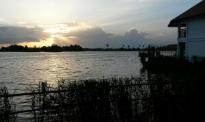 Gallery Thumbnail 2